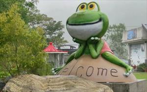 宜蘭民宿 - 「小雨蛙有機生態農場」主要建物圖片