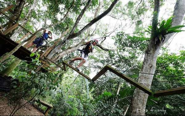 花蓮景點「野猴子森林探險樂園」Blog遊記的精采圖片